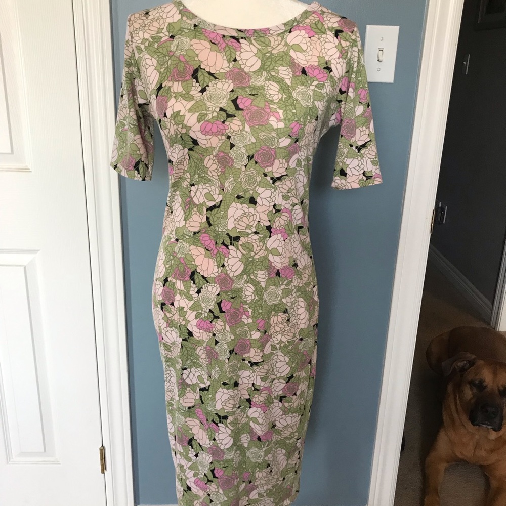 Lularoe Julia dress